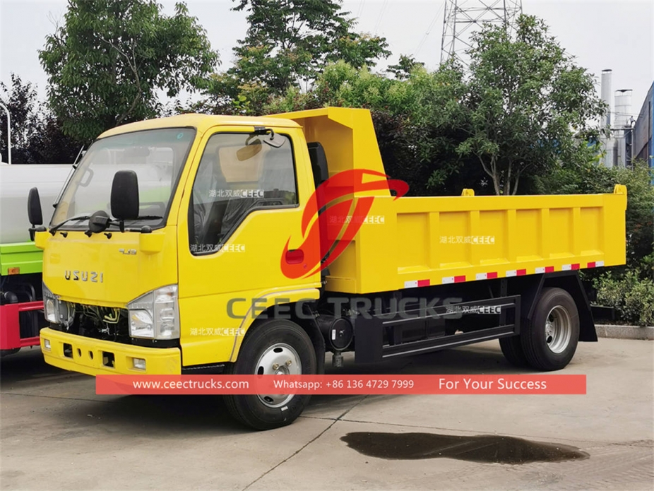 Custom-made ISUZU 100P/NKR 3 tons dump truck for sale