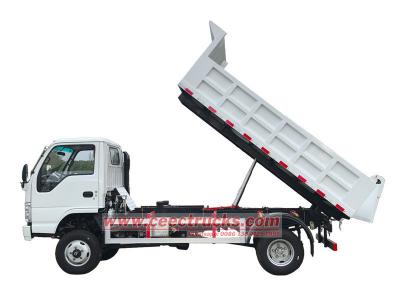 Isuzu ELF dumper truck